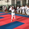 _zkarate__11_.jpg