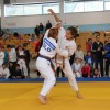 _vjudo__3_.jpg