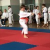 _zkarate__7_.jpg