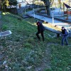 pdlisca_003.jpg