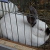 dsc05405.jpg