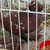 dsc05469.jpg