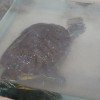 dsc05440.jpg