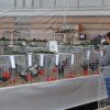 dsc05467.jpg