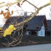 prekmurje_093_000.jpg