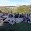 bircna_vas20.jpg