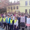 bircna_vas11.jpg