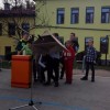 bircna_vas13.jpg