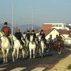 konji_lipicanci.jpg