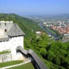 stari-grad-celje-2.jpg