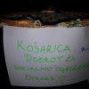 humanitarka.jpg
