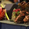 img_5485.jpg