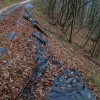 img_5586.jpg