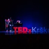 tedx03.jpg