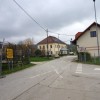 orehov005.jpg