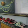 img_8108_14_1_000.jpg