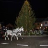 dsc_6202.jpg