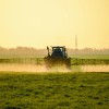 glifosat1 foto shutterstock.jpg