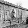 hruska004.jpg