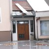 vet008.jpg