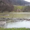 20171213_090004.jpg