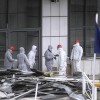 grčija_sodišče_bomba.jpg