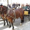 img_8951_6_1_000.jpg
