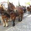 img_8953_7_1_000.jpg