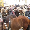 img_8961_15_1_000.jpg