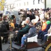 img_8994_33_1_000.jpg