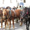 img_8954_8_1_000.jpg
