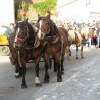 img_8984_39_1_000.jpg