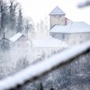 mikipavlinfoto_3.jpg