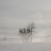 mikipavlinfoto_14.jpg