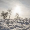 mikipavlinfoto_11.jpg