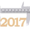 Leto 2017.jpg