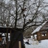 brezjezabjak_078.jpg