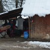 brezjezabjak_049.jpg