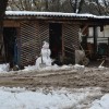 brezjezabjak_077.jpg