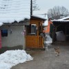 brezjezabjak_024.jpg