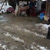 brezjezabjak_064.jpg