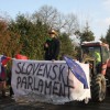 selmarija_46.jpg