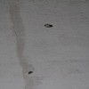 img_8475.jpg
