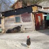 hudorovic8.jpg