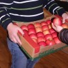 sadjarski_dnevi_25_a.jpg