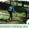 _zpomedvedovih1.jpg