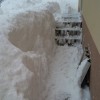 20180225_120243.jpg