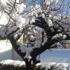 20180204_084241.jpg