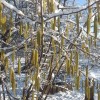 20180204_085125.jpg