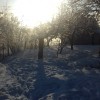 20180204_083428.jpg